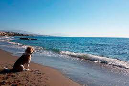 La Playa Canina de Piedra Paloma II, Casares del Mar, Málaga