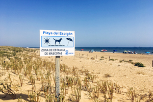 Playa del Espigón, Huelva, Andalucía